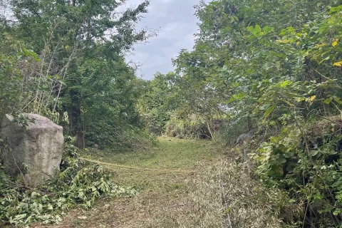 キャンプ場用地／資材置き場用地