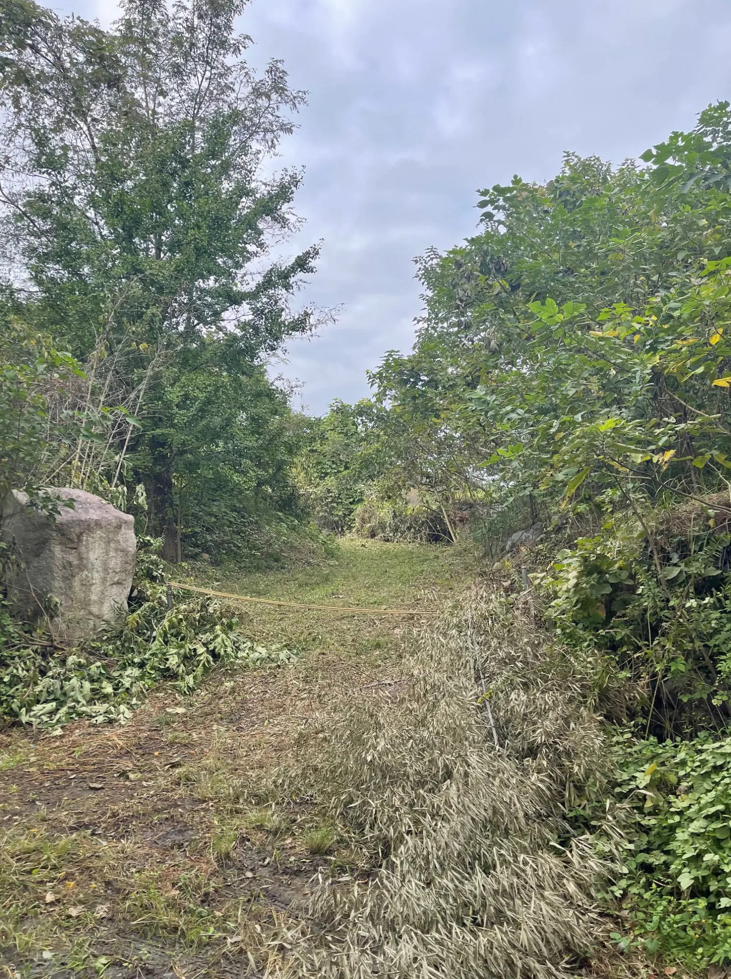 キャンプ場用地／資材置き場用地