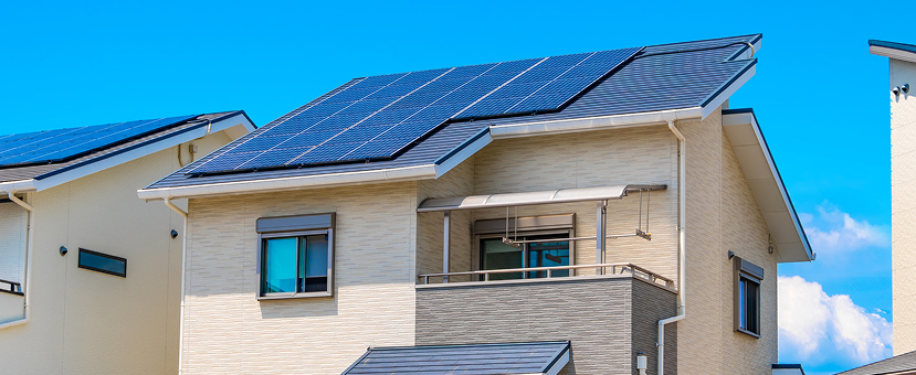 画像：サンプル